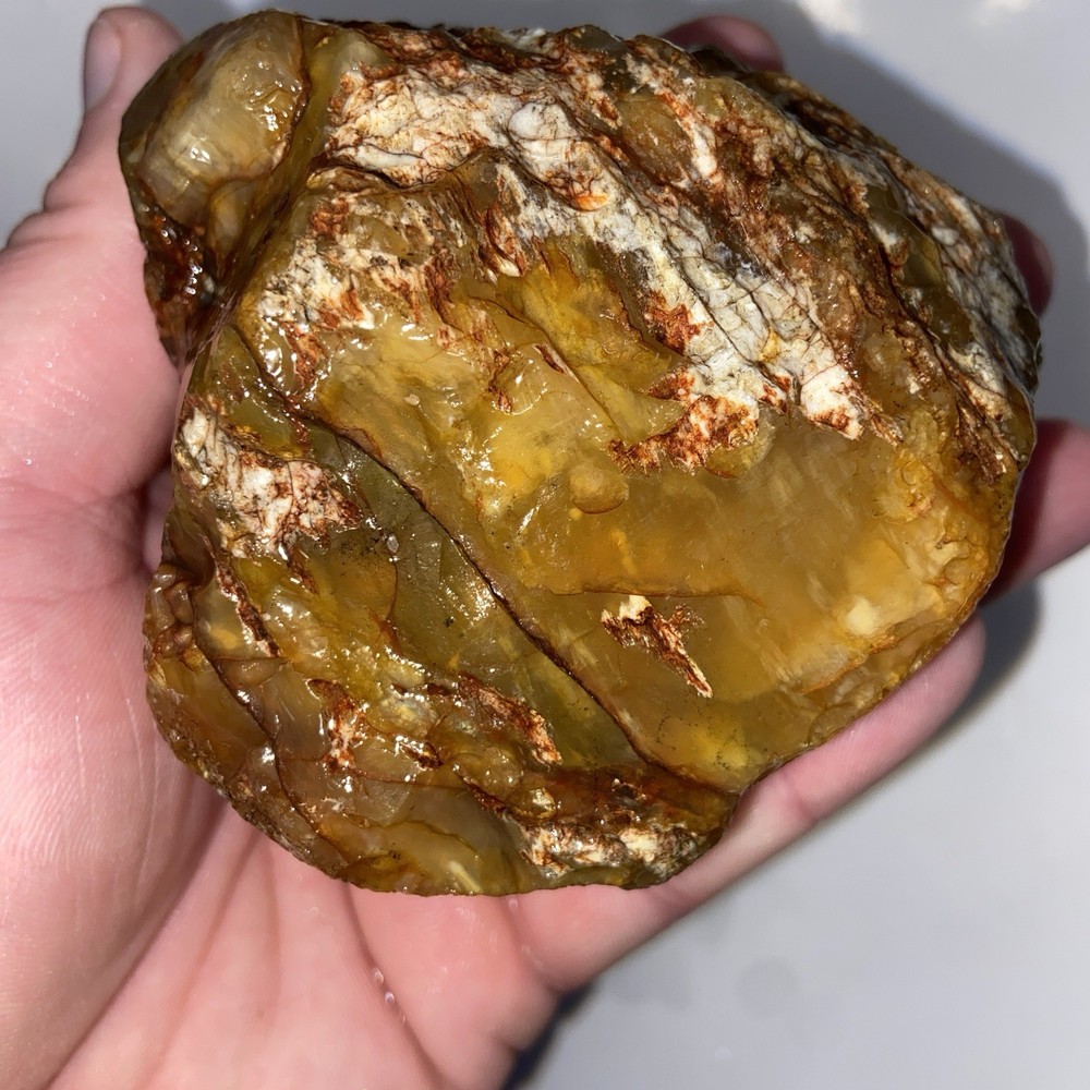 Cornflake Carnelian Unique Rough Lapidary Material 1 Pound 1.1 Oz