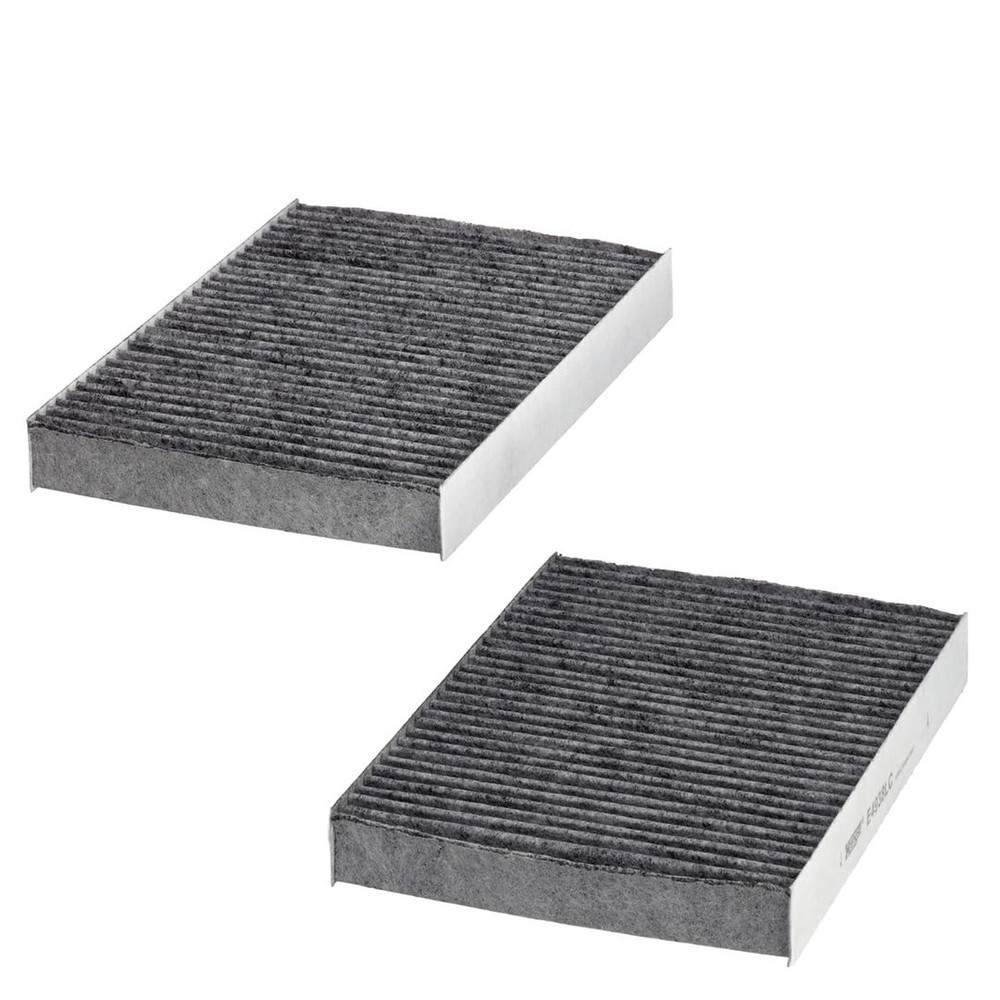 Hengst E4938LC-2 Cabin Filter