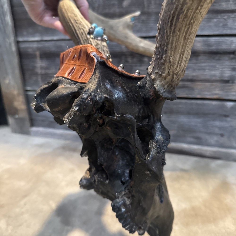 Western DECOR - Deer Mount