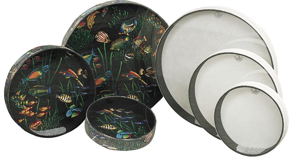 Remo Ocean Drum Clear 2.5 In x 22 In