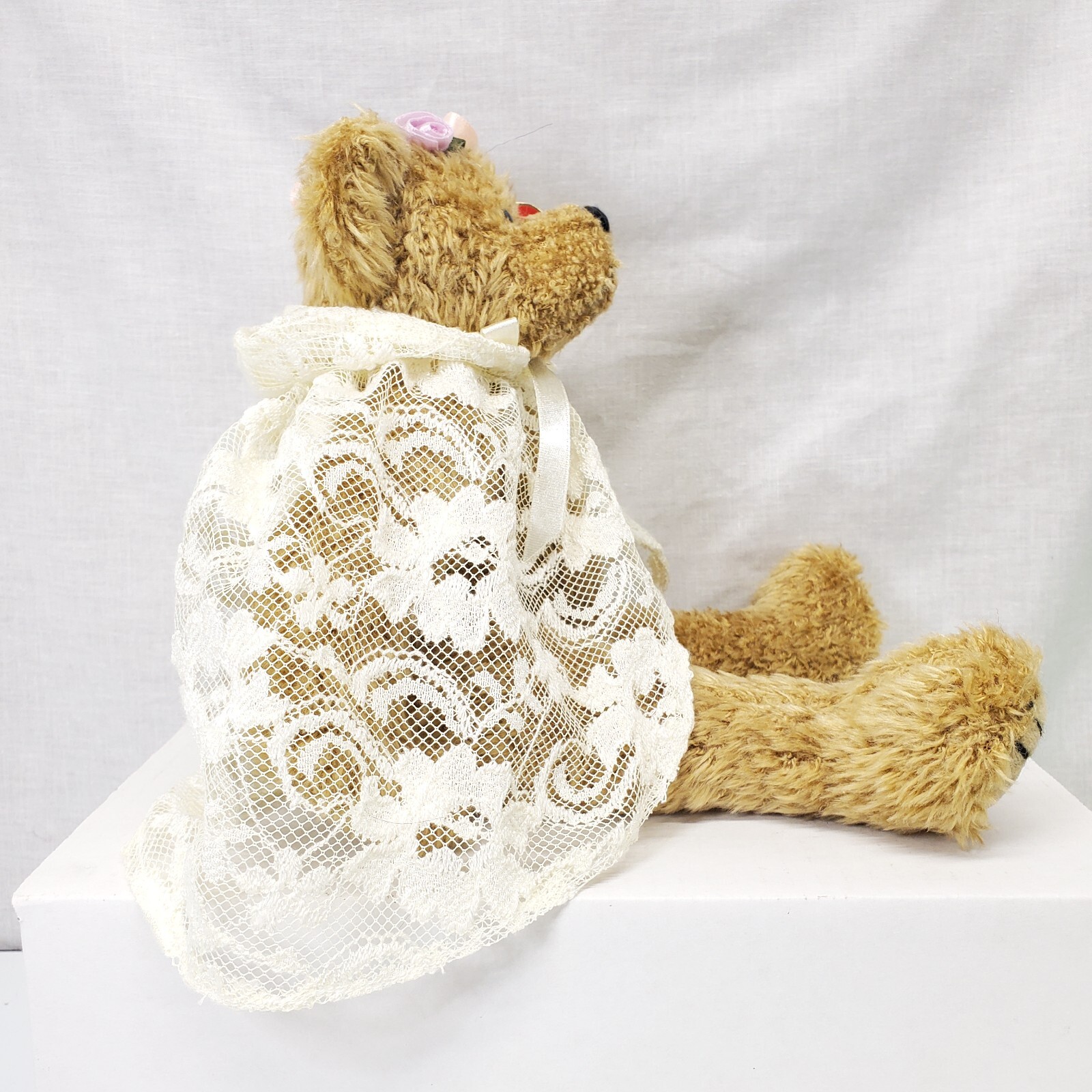 Ty Eve You're the Apple of My Eye Bear 13" Plush Soft Toy Stuffed Animal