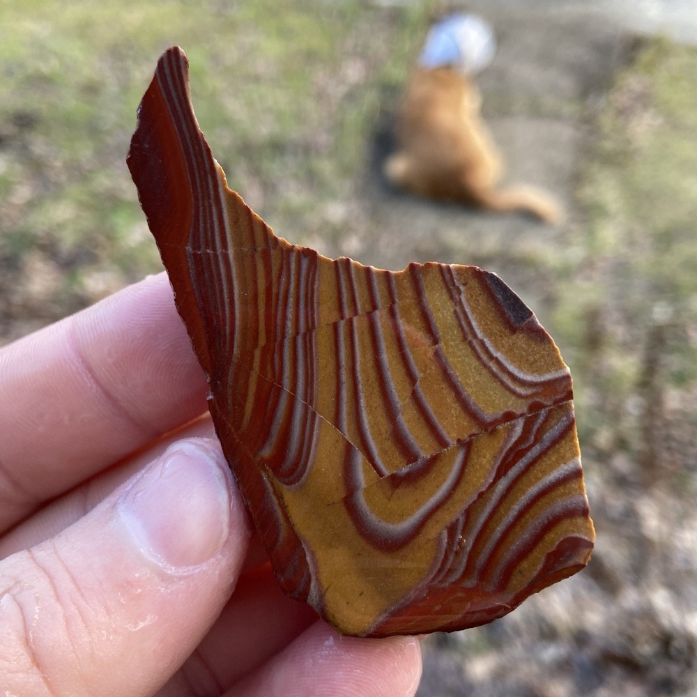 Unique Mescalero Jasper Lapidary Slab
