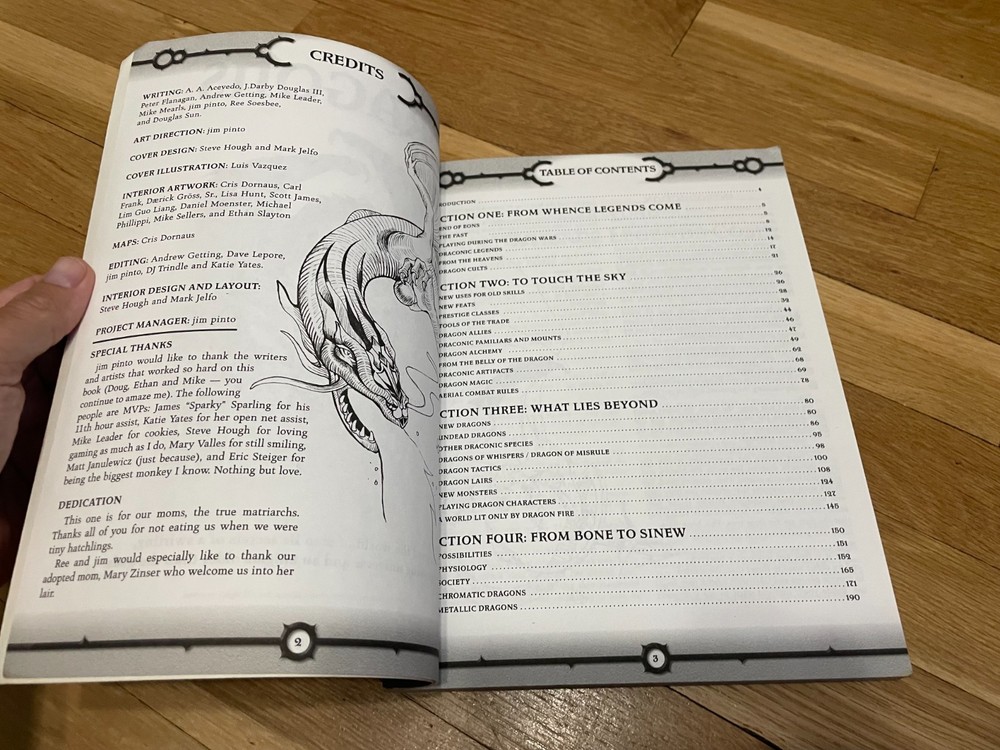 Dungeons & Dragons: Dragons AEG D20