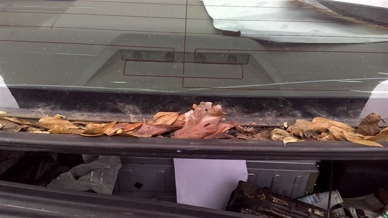 CAMRY     2008 High Mounted Stop Light 104497719