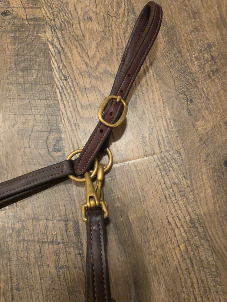 Leather Halter Cob
