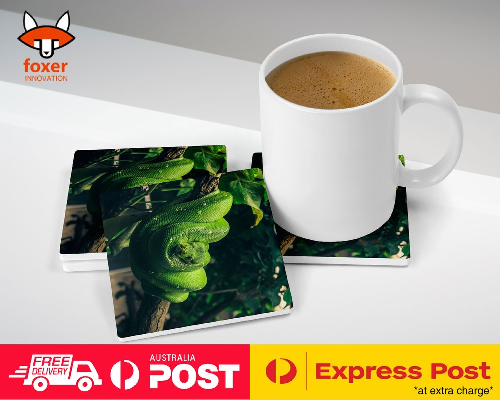 COASTER COFFEE DRINKING MAT|SNAKE HANGING ON TREE BRANCH 1