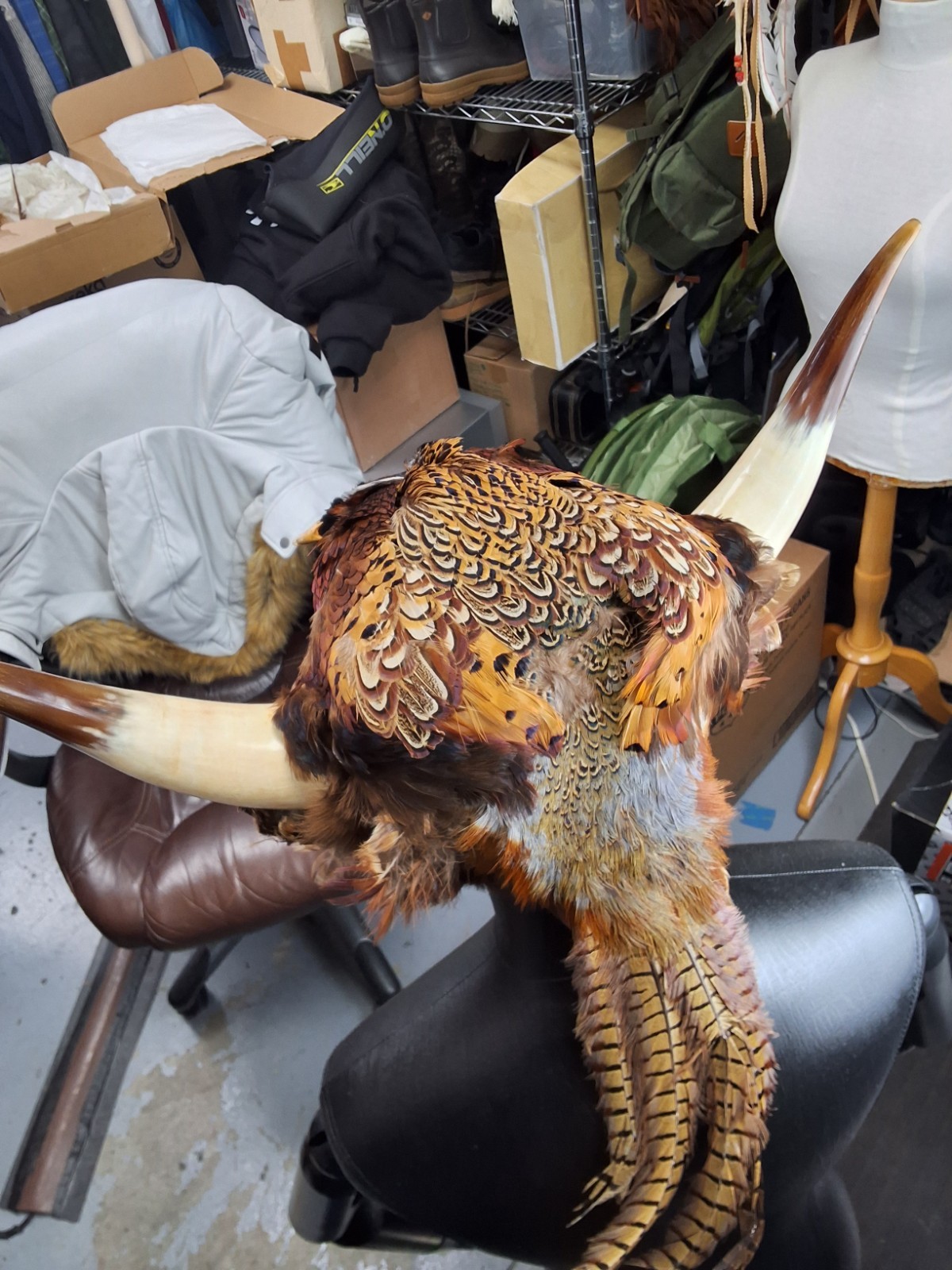 Novelty Taxidermy Leather Pheasant Viking Bomber Hat