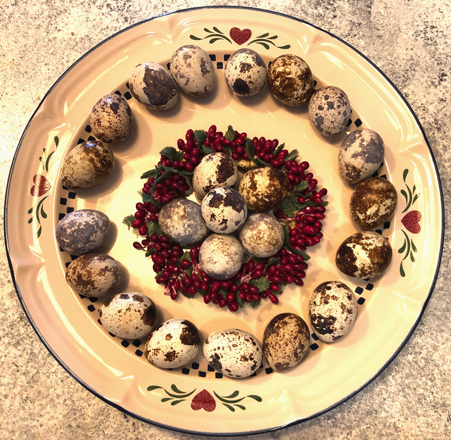 10+ Fertile Hatching Eggs Quail Coturnix Jumbo White Texas A&M Meat & Egg Birds