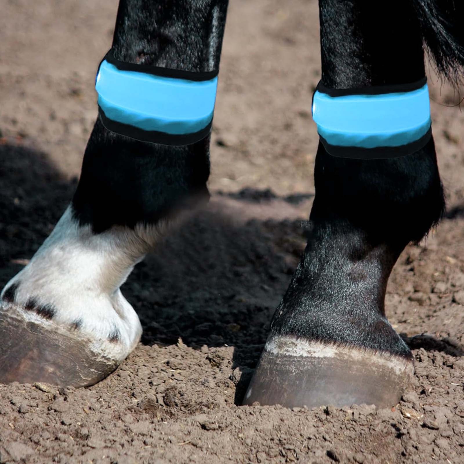 4pcs LED Horse Leg Band Reflective Animals Foot Wraps