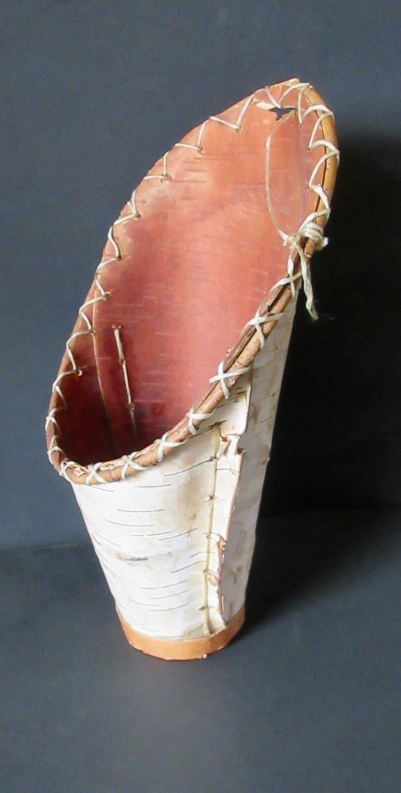 Cree Birch Bark Wall basket/pocket w/faux sinew rim wrap & hanger & twig rim