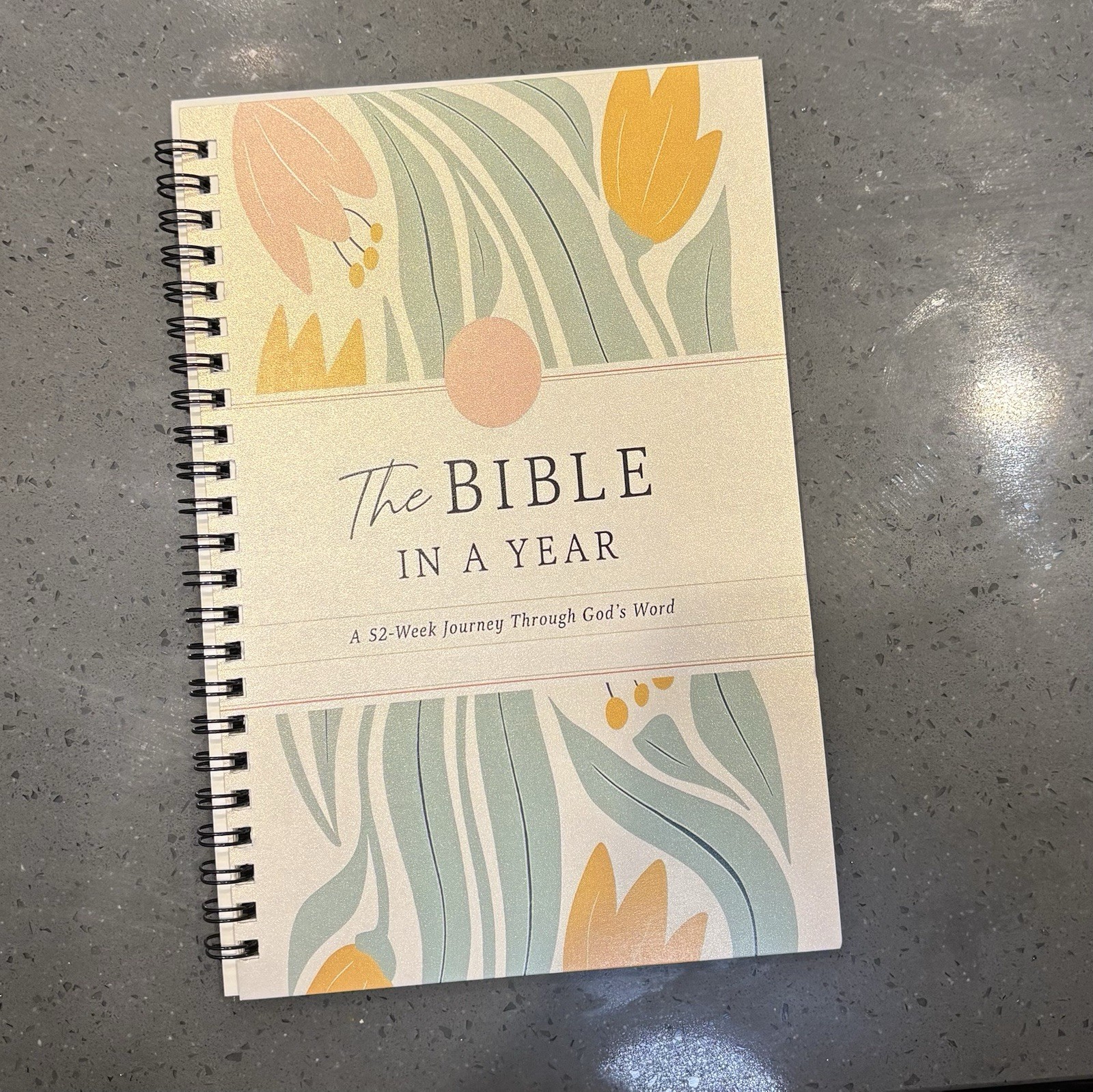 The Bible In A Year: A 52-Week Bible Study Guide W/Bible Tabs & Highlighters