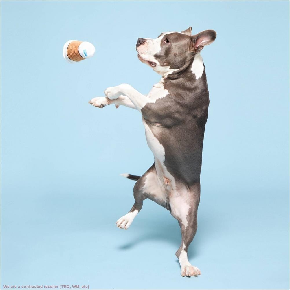 BARK Bark Brew Coffee Cup Dog Toy *SEE DEAL!!!*