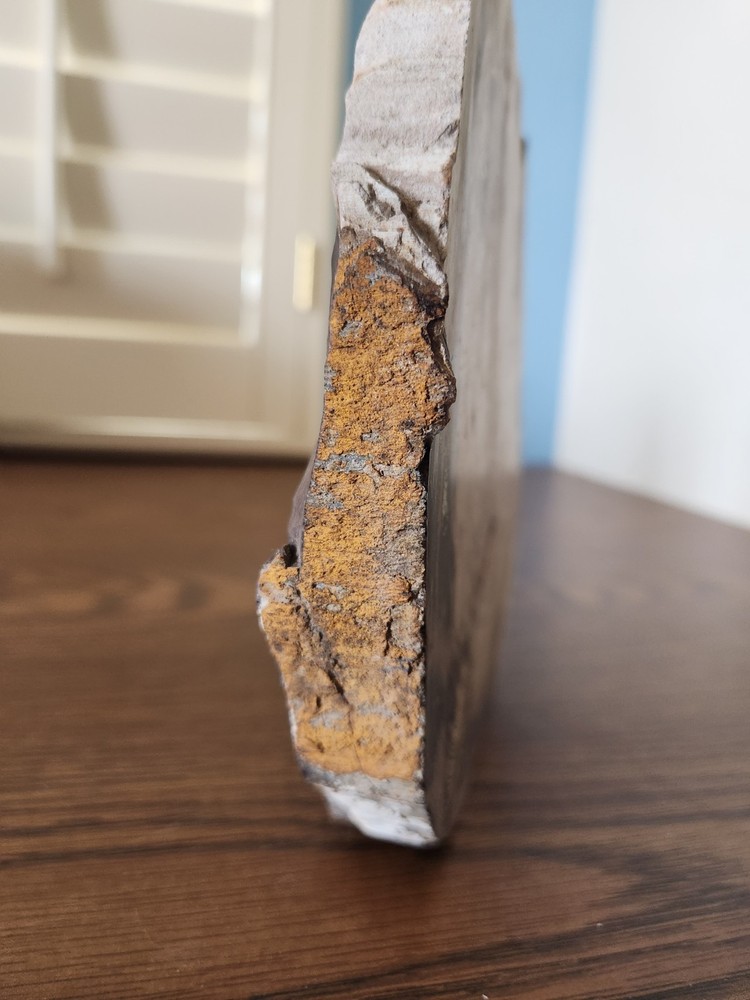 Petrified Wood Rough Cut Slab