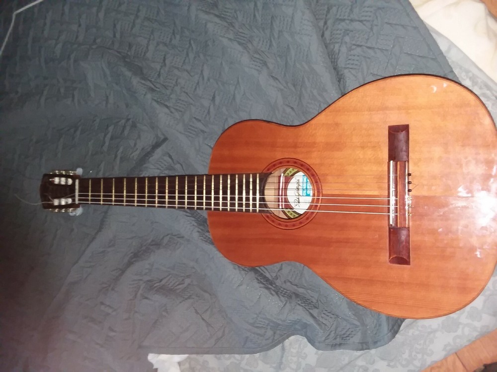 DiGiorgio signorina guitar