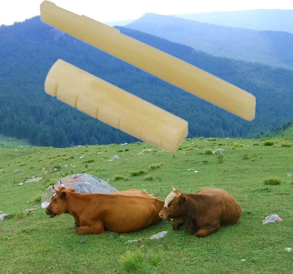 Unbleached Bone Guitar Bridge Saddle & Nut Set