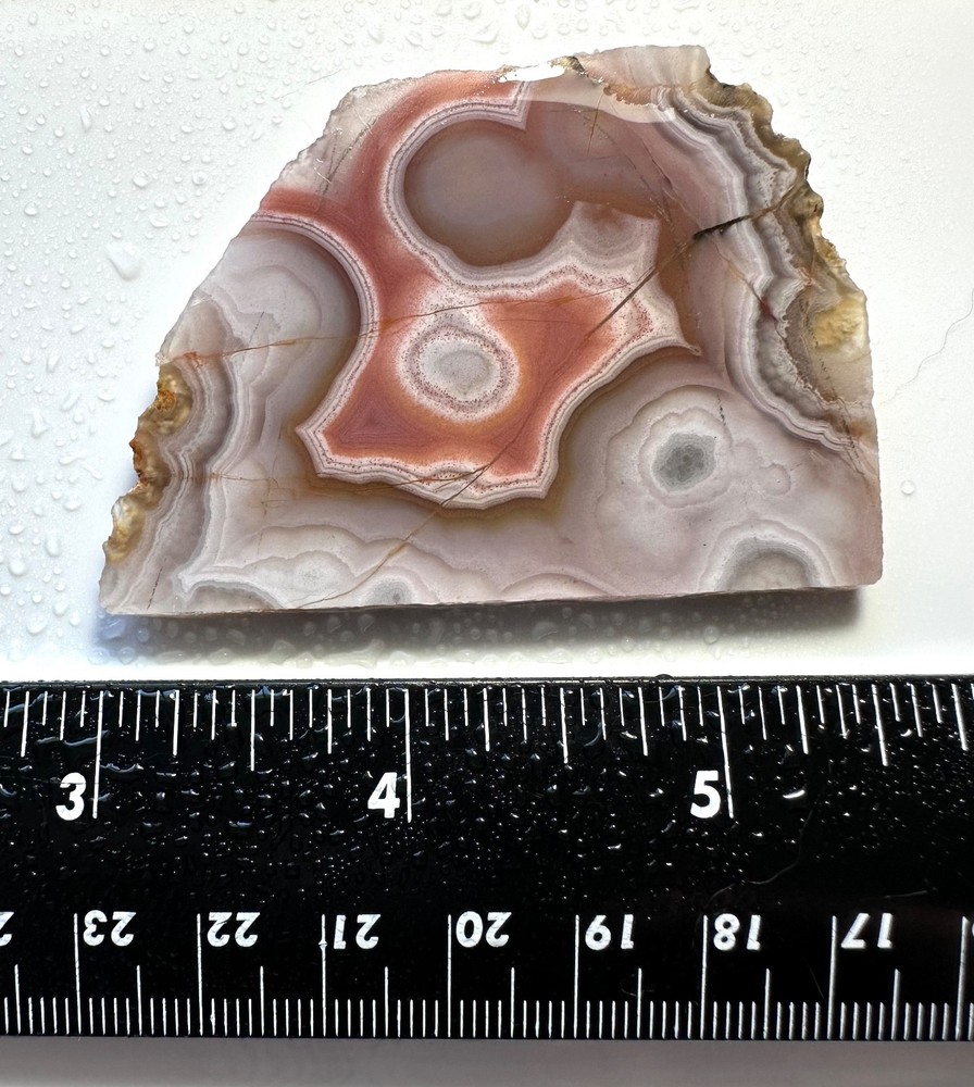 Laguna Agate Slab, 33grams, Cabbing/Lapidary