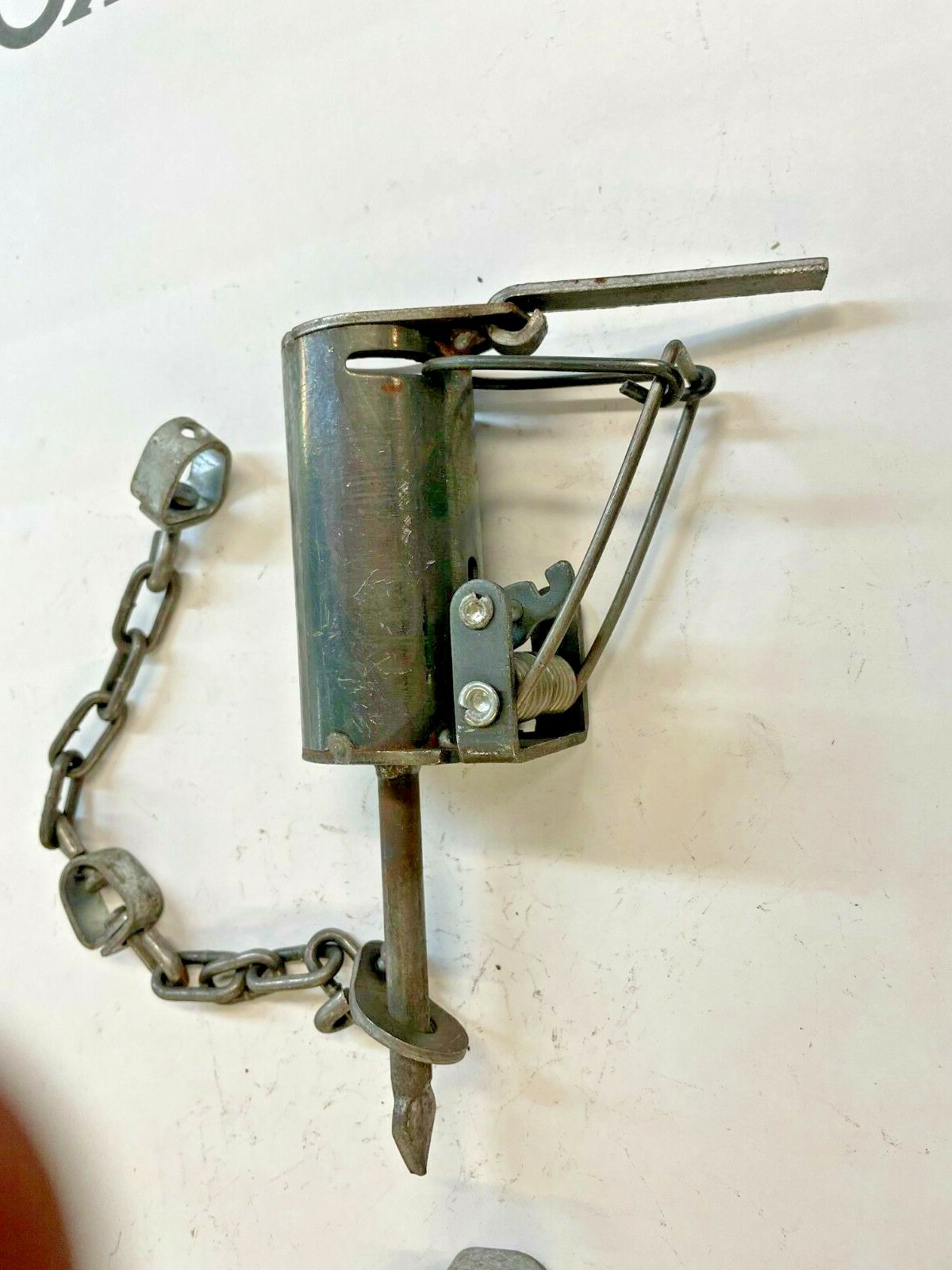 12, Brand New Cold Creek, Dog proof raccoon traps, coon, DP with setting tool