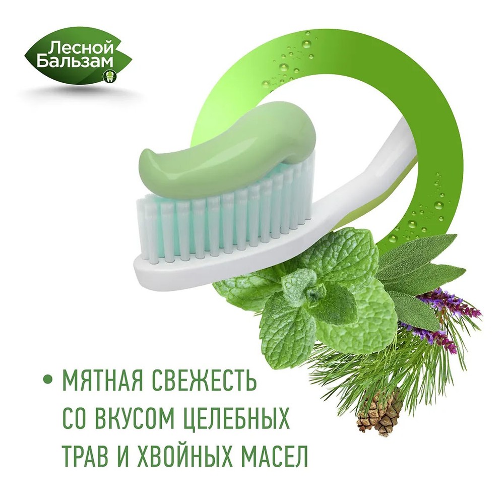 Forest Balsam Herbal Toothpaste 75 ml/2.53 fl oz - Лесной Бальзам