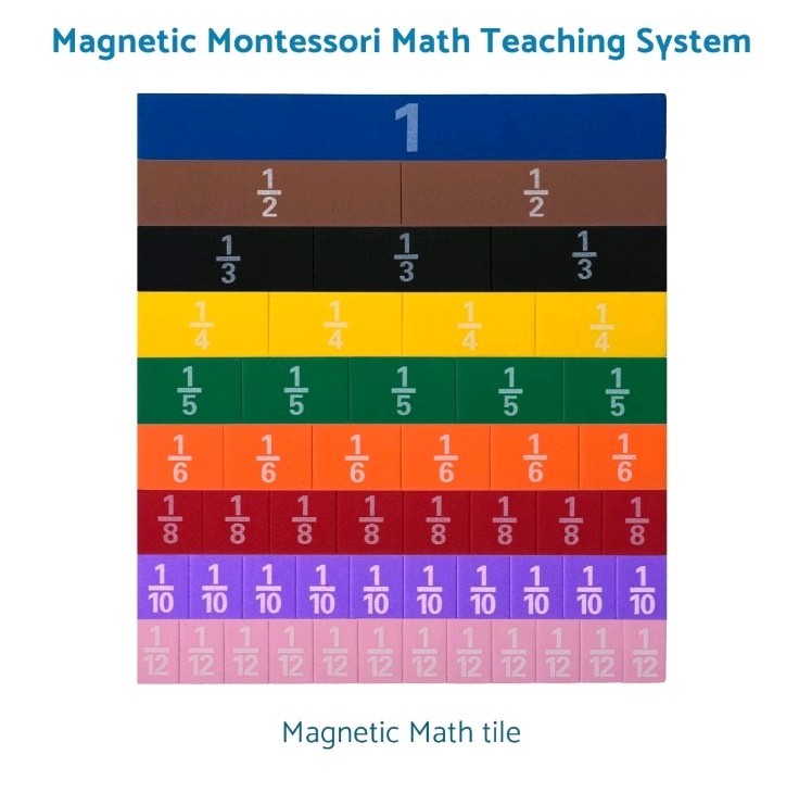 Montessori MAGNETIC FRACTION TILE Math Teaching System Fun & Learning Experiencs