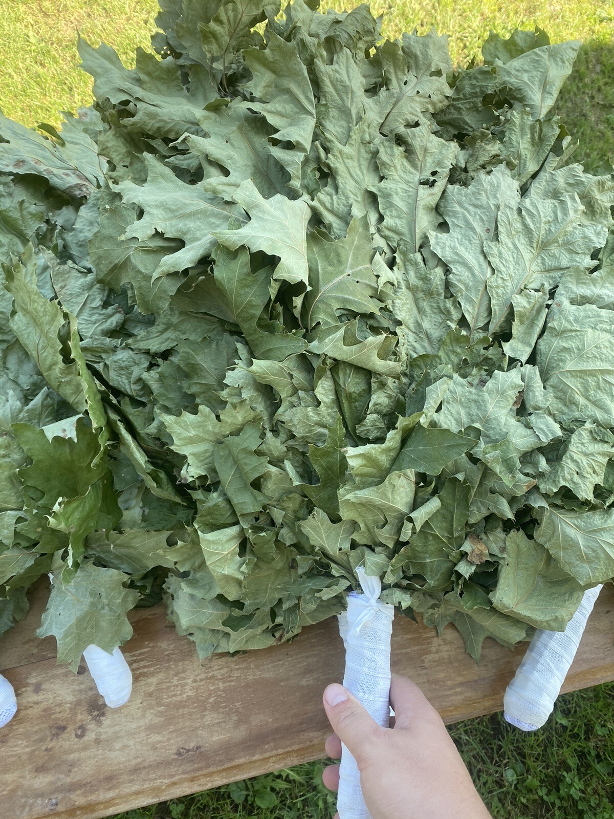 10 Oak whisks, banya brooms, whisks, venik, Birkenreisige, Venik, sauna