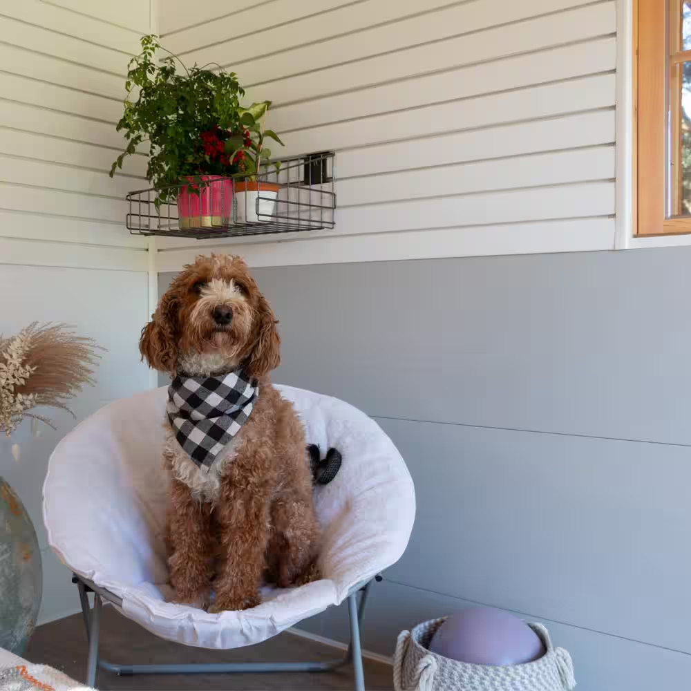 8 Ft PVC Wall&Ceilingboard Panel White (8-Pack)