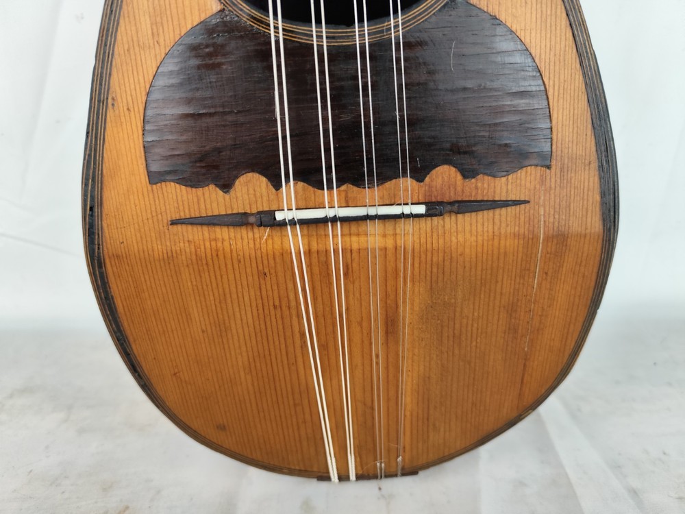 Mandolin 4/4 Viscardo Maccolini 1925 Milan 曼陀林 만돌린マンドリン