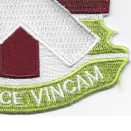 10th Combat Support Medical Hospital Patch