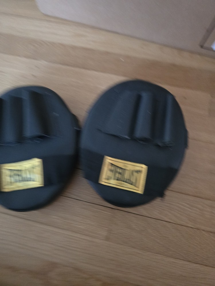 Everlast Punching Mitts