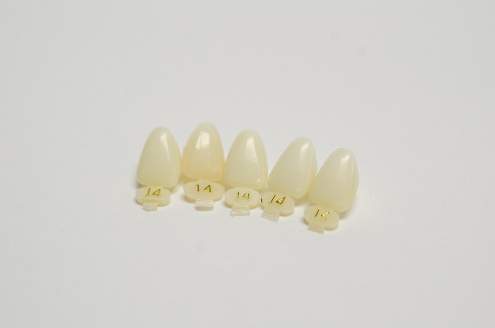 DENTAL POLYCARBONATE TEMPORARY CROWNS #14 (URC) UPPER RIGHT CENTRAL 5/PACK