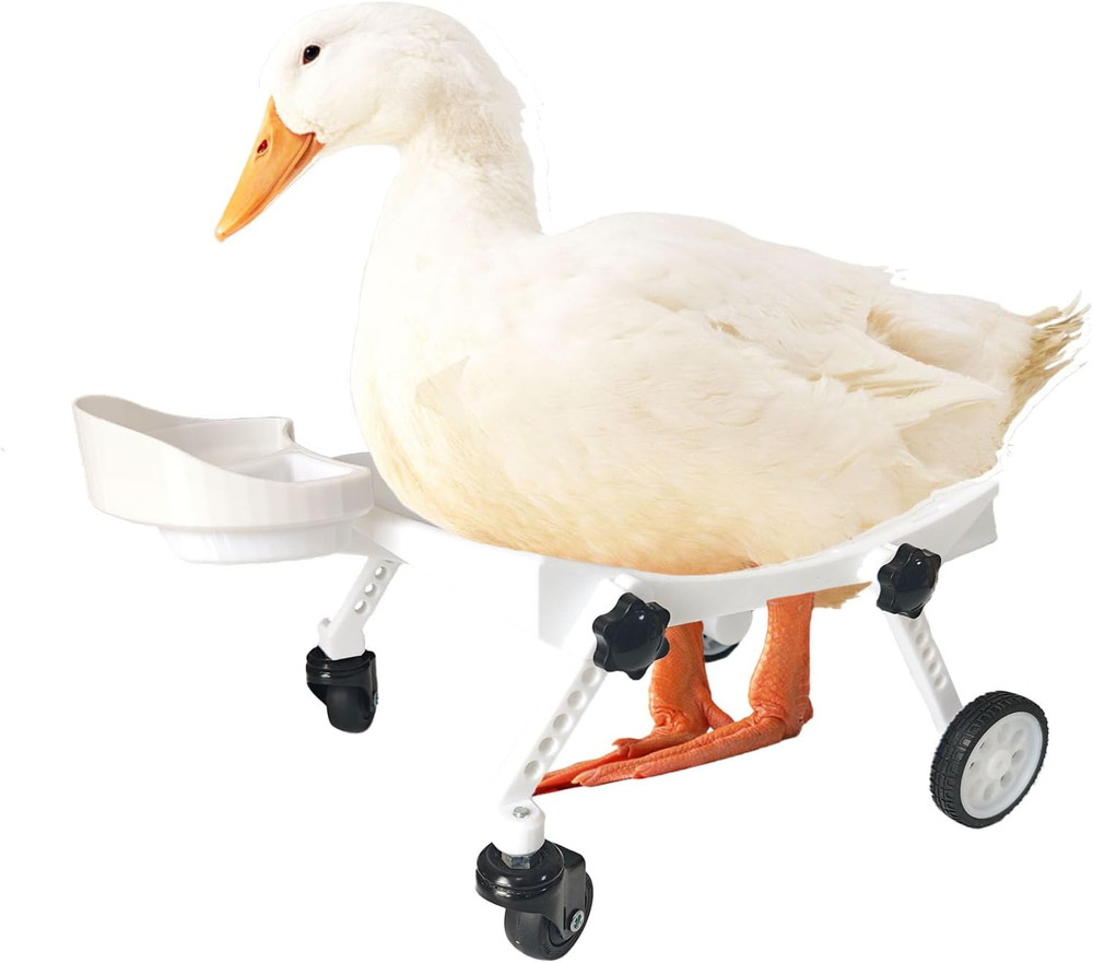 Pet Ducks Wheelchair - Adjustable Mobility Aid for Small Animals，Adjustable Heig