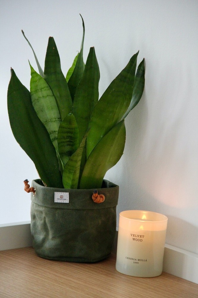 Waxed Canvas Handmade Hanging Planter 6" Forest Green