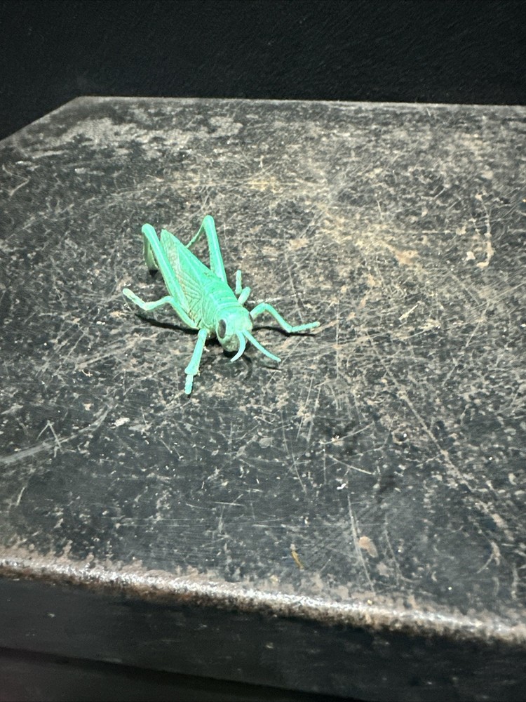 Faux / Pretend grasshopper Ref D9
