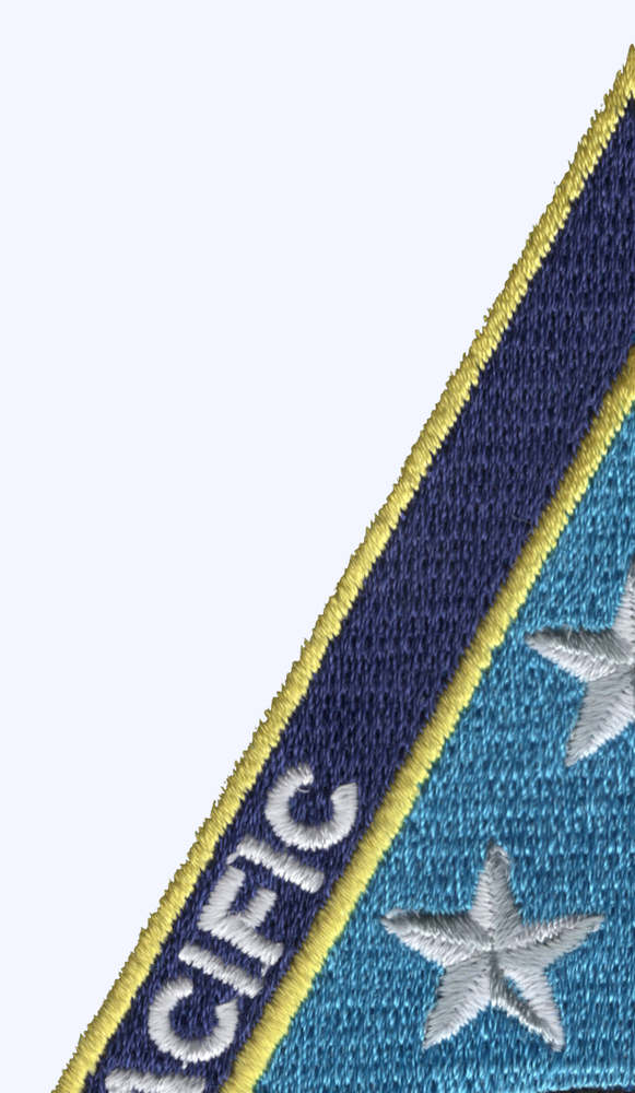 Naval Air Force - Pacific Fleet Patch