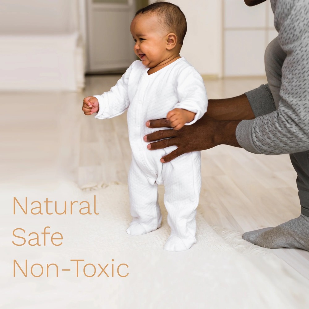 Stain Odor Remover Cleans Smells Spots