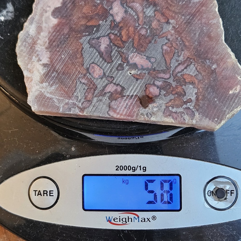 Agate End Cut Lapidary Slab 58 Grams