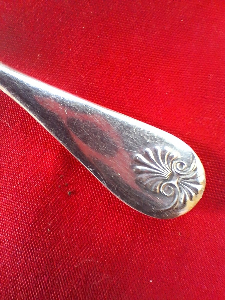Wm Rogers Oneida Silverplate 1898 Shell Solid Petite Server 5" SHIPS FREE