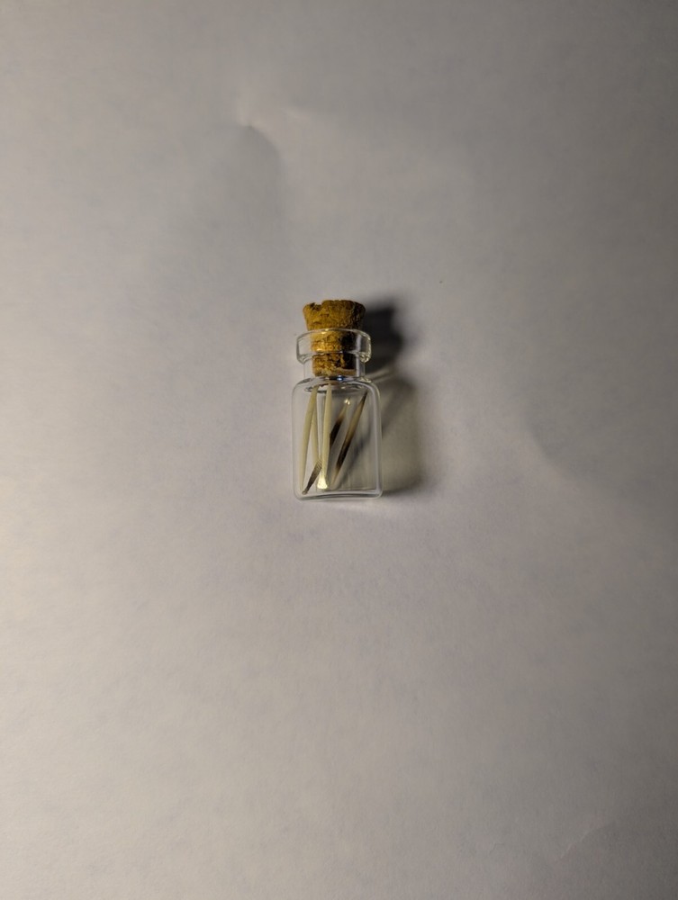 Hedgehog Quills Jar #3