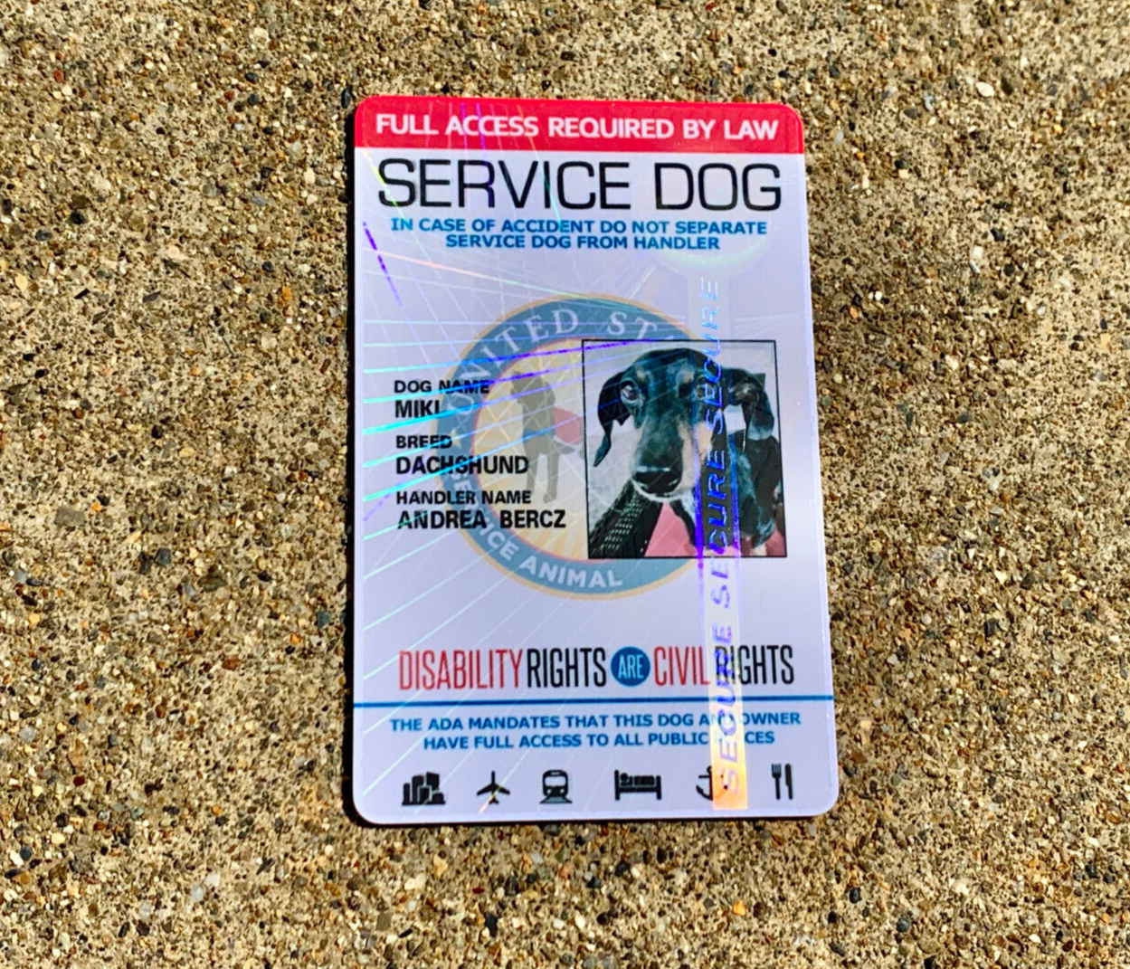 SERVICE DOG ID CARD HOLOGRAPHIC PVC ASSISTANCE ANIMAL ID BADGE TAG FOR VEST