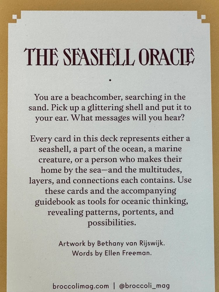 The Seashell Oracle Deck 44 Card Deck for Divination by Broccoli