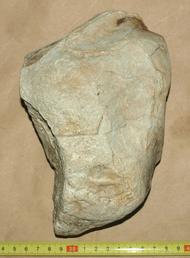 Silurian STROMATOLITE from Estonia