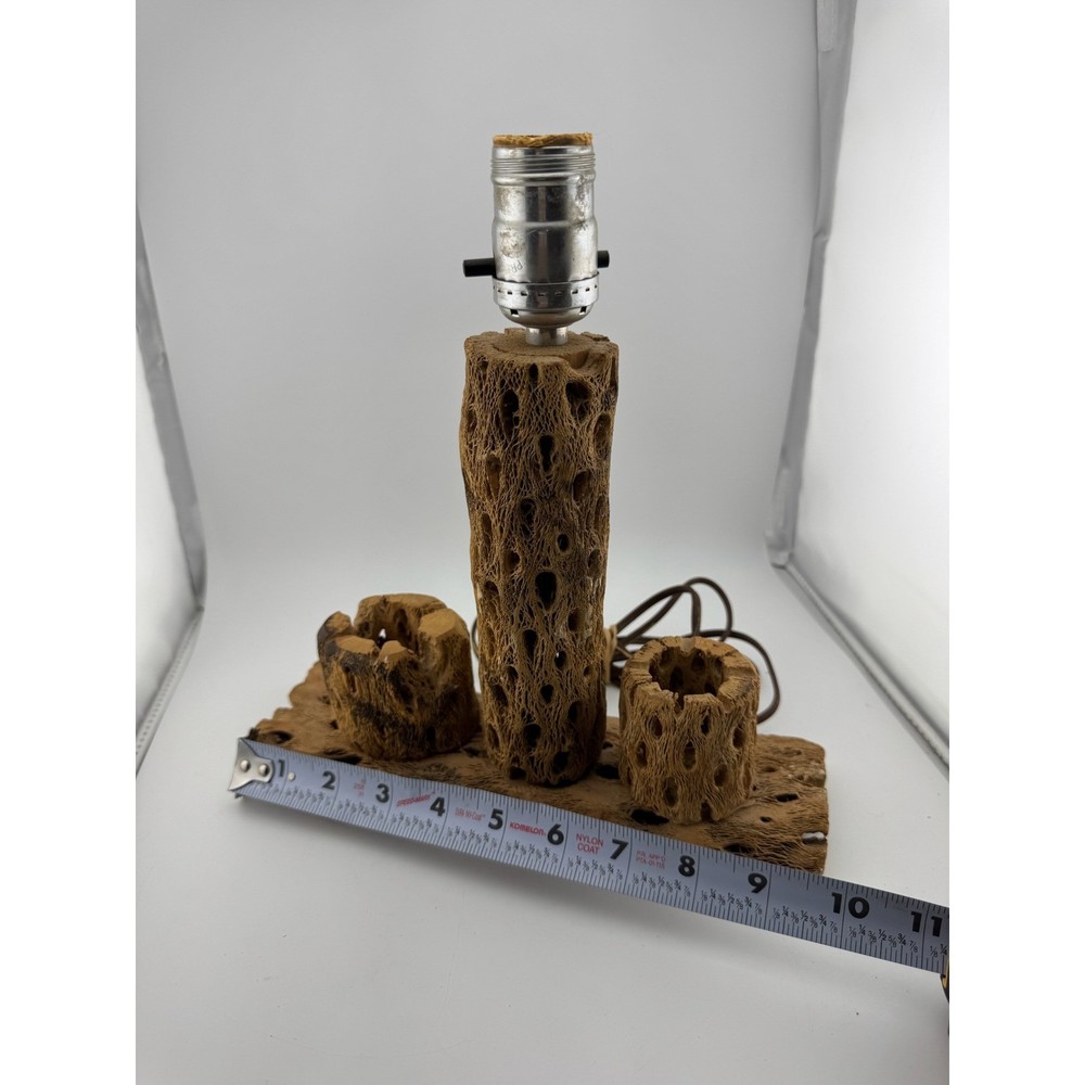 Cholla Cactus Lamp Rustic Desert Decor Table Lamp Unique Accent Lighting
