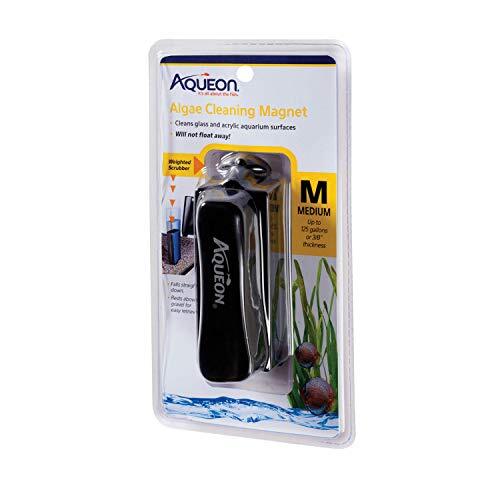 Aqueon Algae Cleaning Magnets Glass/Acrylic Medium  Assorted Sizes