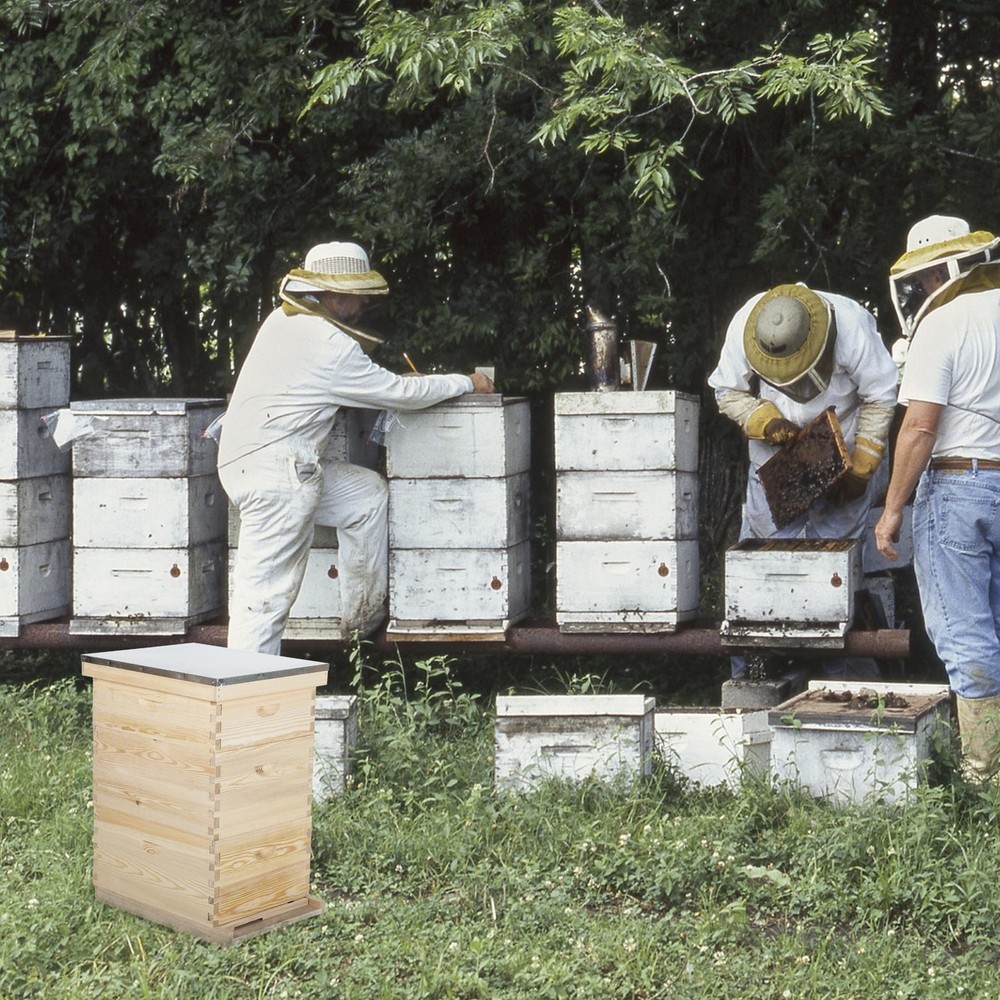 Langstroth Hive Beehive Kit - 30 Frame Box, 20 Deep, 10 Medium Frames