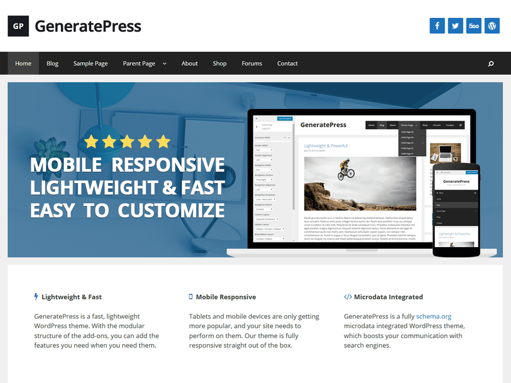 Starter WordPress Website Package + 1 Year Free Hosting & Domain