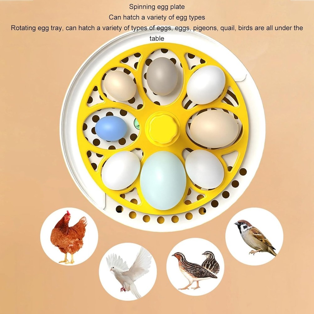 Automatic 4-Egg Mini Incubator with Temperature Control, for Chicken Duck Pig...