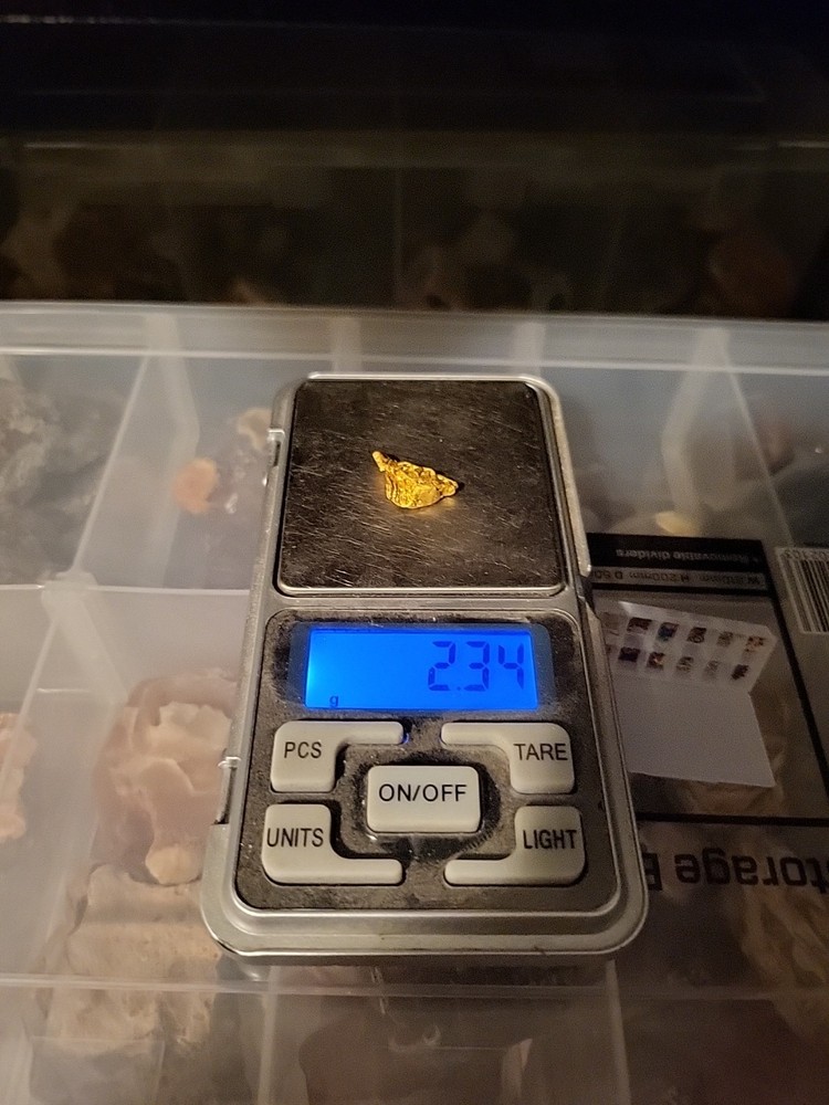 Gold Nugget