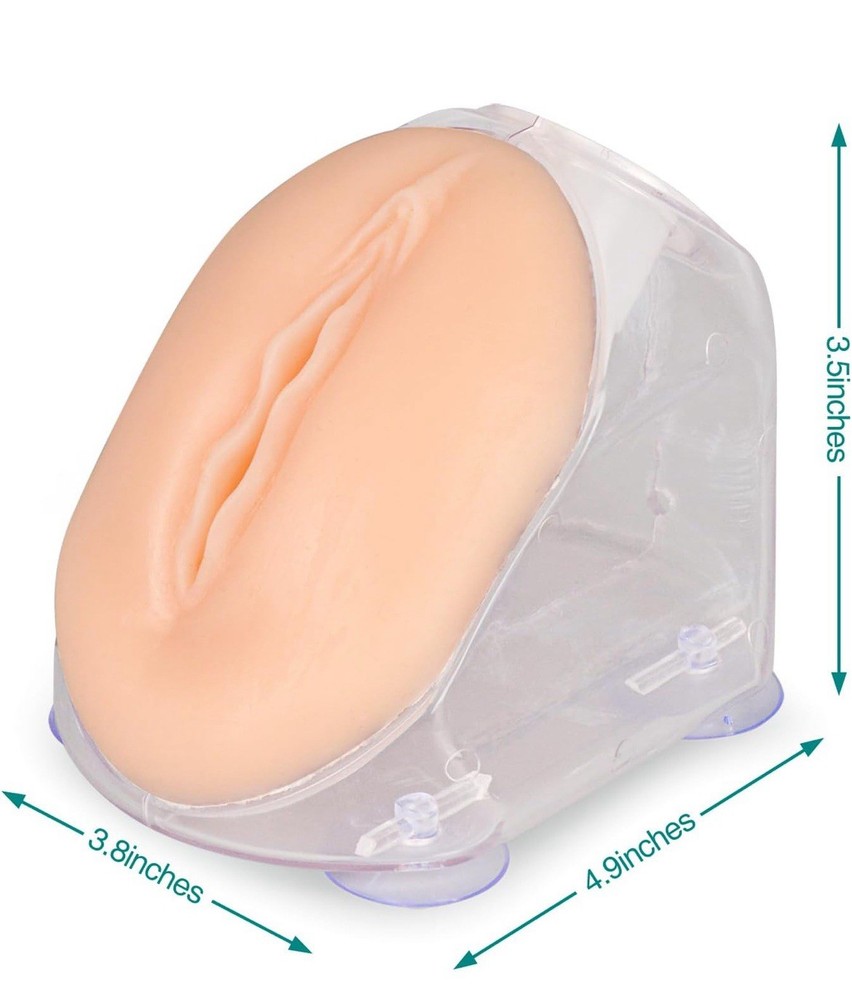 MedEduQuest Female Catherization Simulator For Students