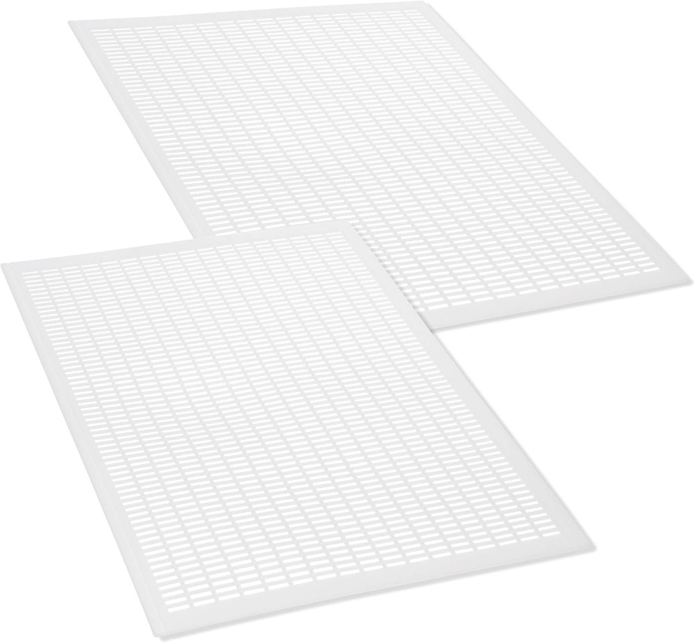 Bee Hive Queen Excluder 2 Pack 10 Frame Langstroth Plastic Beekeeping