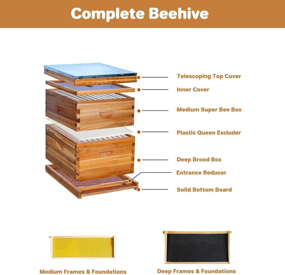 Bee Hive Langstroth Beehive Box Kit 10 Deep &10 Medium Frames Wooden Beehive Box