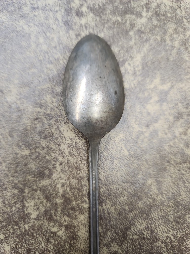 1940 International Silver Camelia Silverplate Floral Teaspoon 7.5"